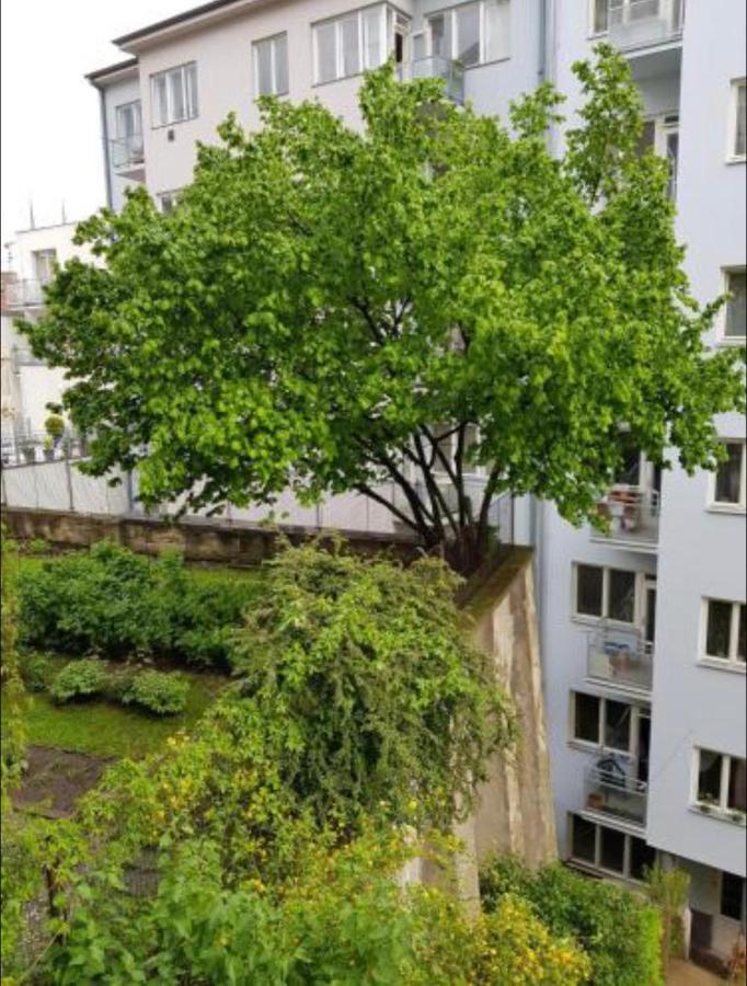 Old Town Apartment Pellicova Brno Esterno foto