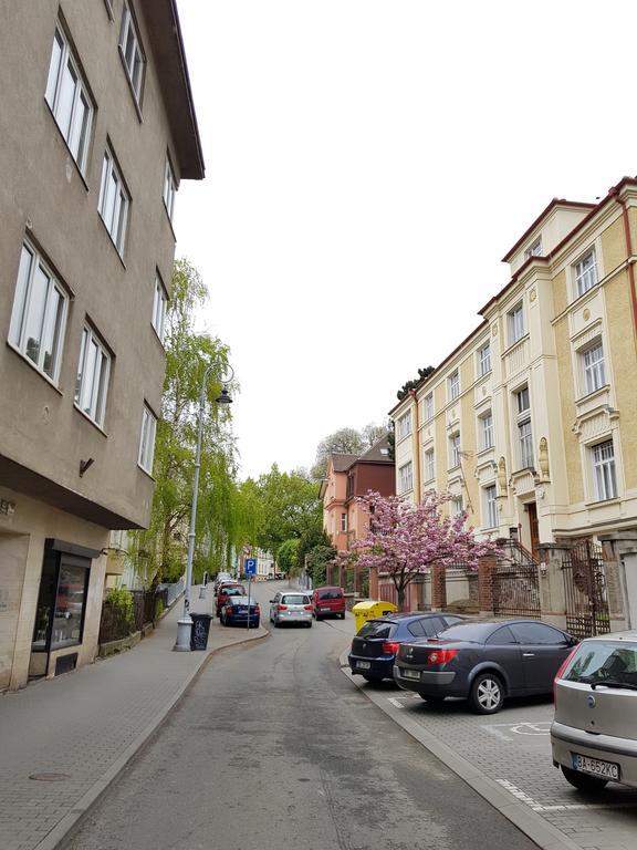 Old Town Apartment Pellicova Brno Esterno foto