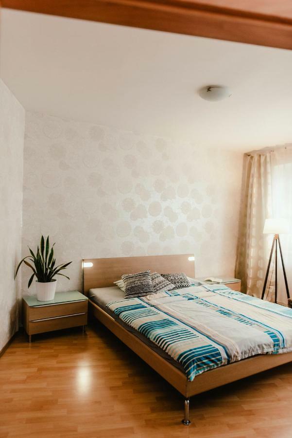 Old Town Apartment Pellicova Brno Esterno foto