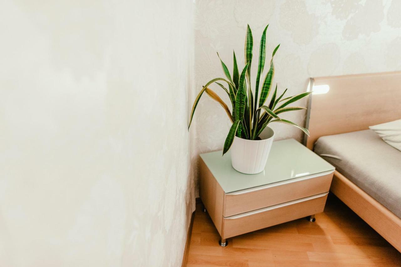 Old Town Apartment Pellicova Brno Esterno foto